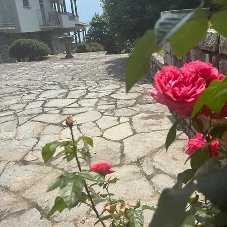 Rosa Del Apartmán Gravedona